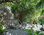 Гостевой дом с тропическим ландшафтом двора.